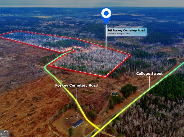 241 Foskey Cemetery Rd, Adrian, GA 31002