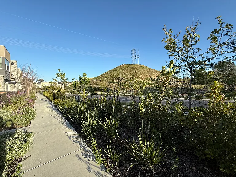 11056 Ardha Way — Photo 35