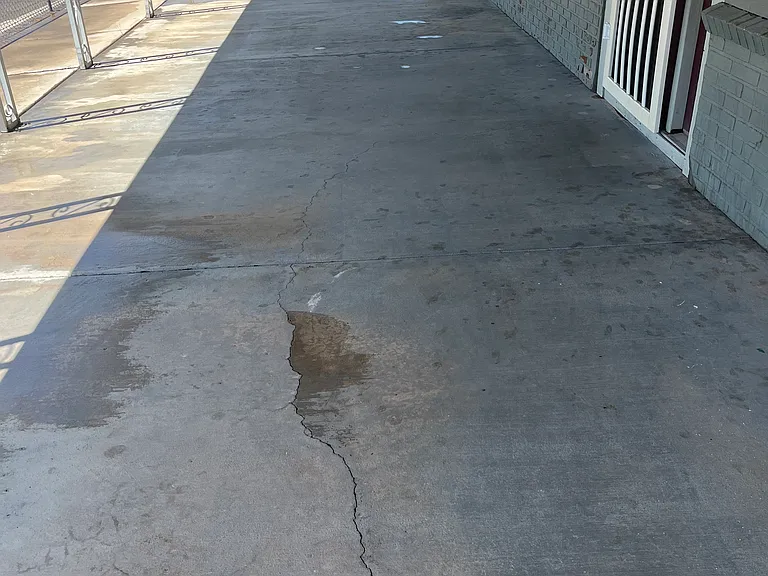 Palma Rd — Photo 22