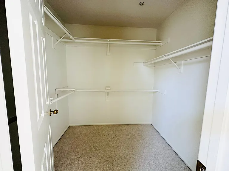 26253 King Edwards Dr — Photo 30