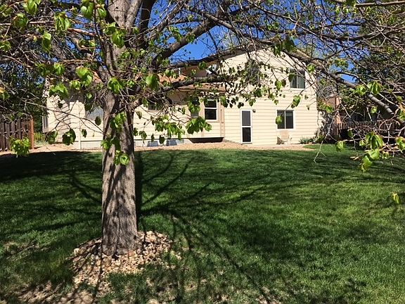 back yard