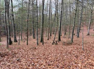 1358 Cowpasture River Rd S, Head Waters, VA 24442