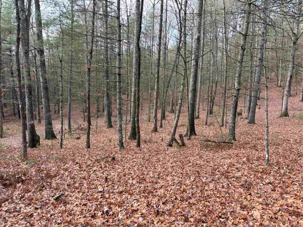 1358 Cowpasture River Rd S, Head Waters, VA 24442