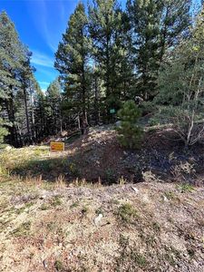 Elk Mountain Trl, Littleton, CO, 80127
