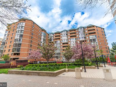 1001 N Randolph St APT 318, Arlington, VA, 22201