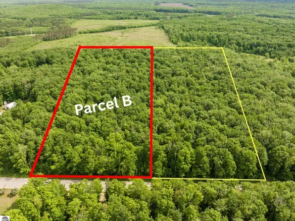 PARCEL Mancelona Rd #B, Mancelona, MI 49659