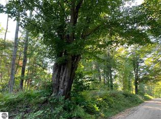 22 Mile Rd, Tustin, MI 49688