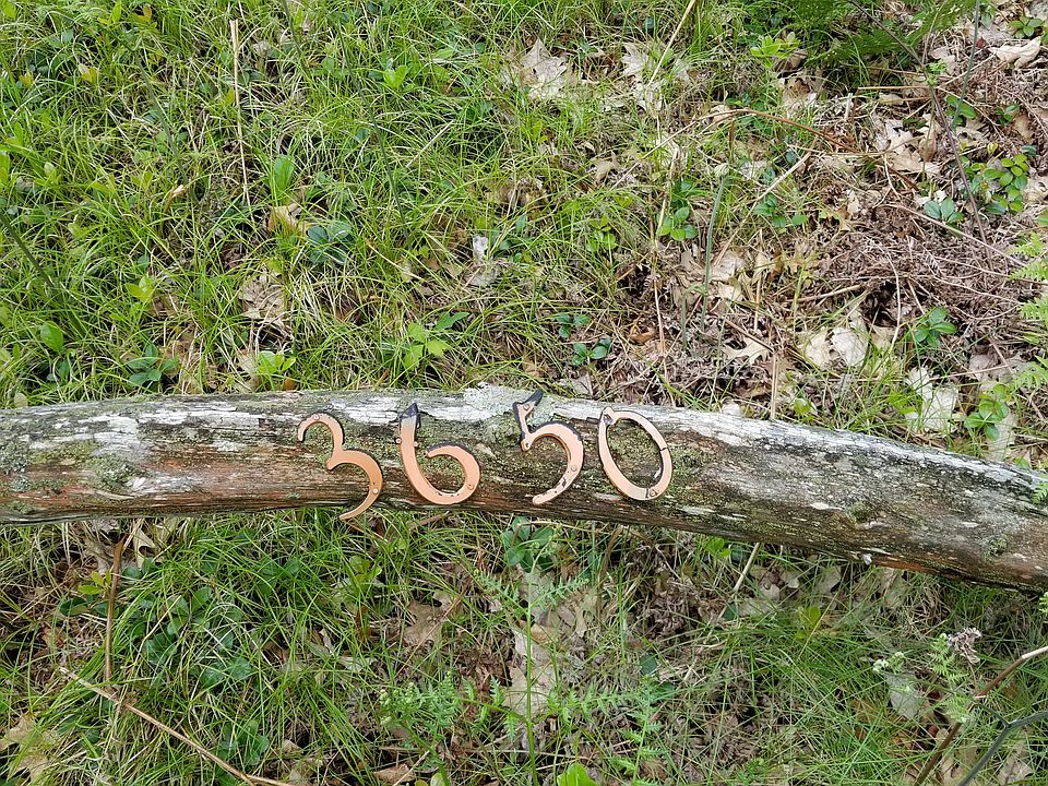 1st image of 3650 Old Pine Trl