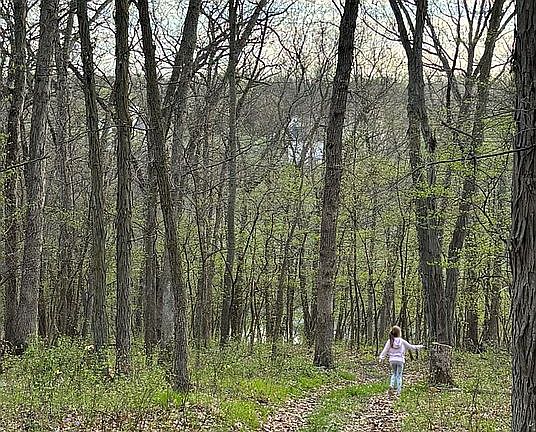4th image of 36797 Forest Ln