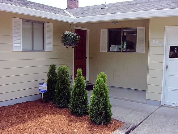 Brand New modern paint