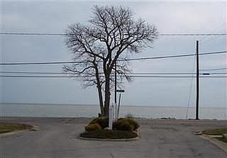 1st image of 137 Cottage Cove Dr