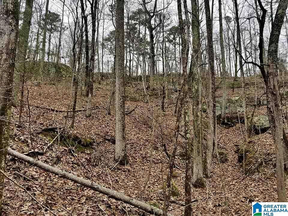 2nd image of 21 State Highway 26