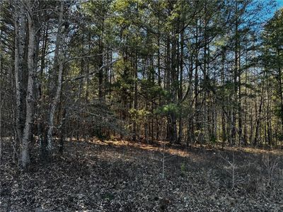 Township Road 4 Corner Rd, Belton, SC, 29627