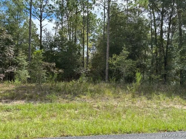 8001 N Galena Ave, Citrus Springs, FL 34434