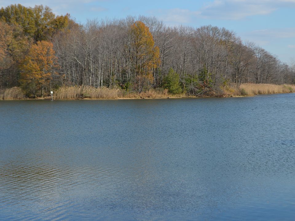 Water views