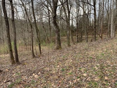 Cavender Gap Rd, Suches, GA, 30572