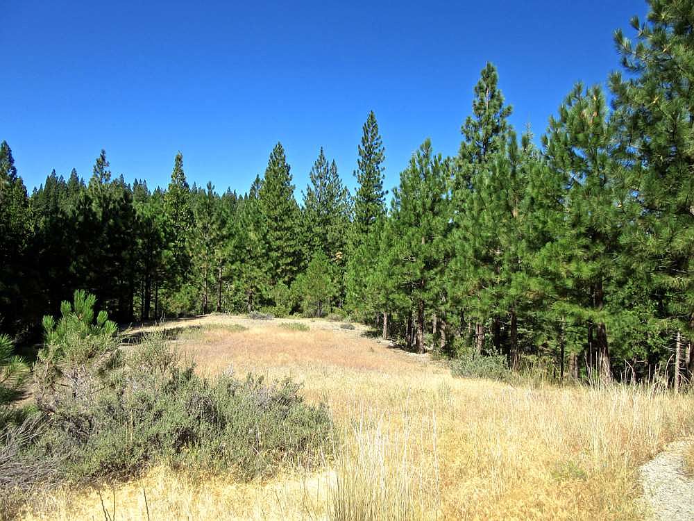 2532 Kristen Way, Clio, CA 96106 Zillow