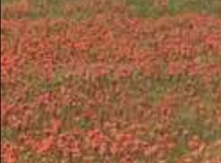 4933 Midway Rd, Weatherford, TX 76085