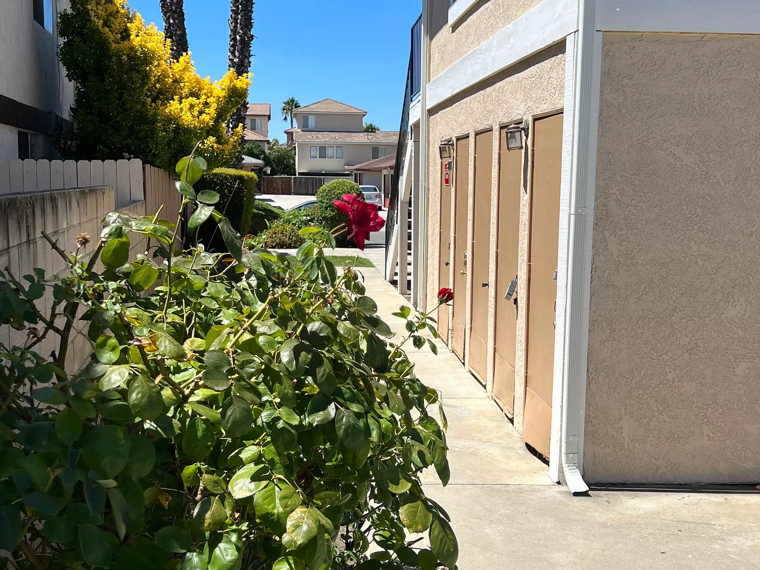 Via Princesa, Murrieta — Photo 2