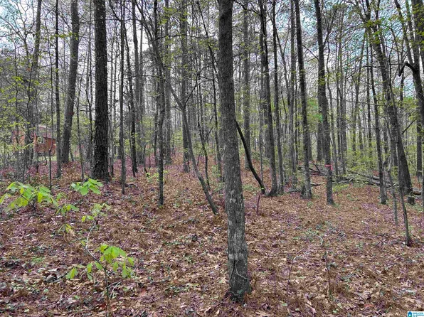 LOT 12 Circle Dr #12, Mc Calla, AL 35111