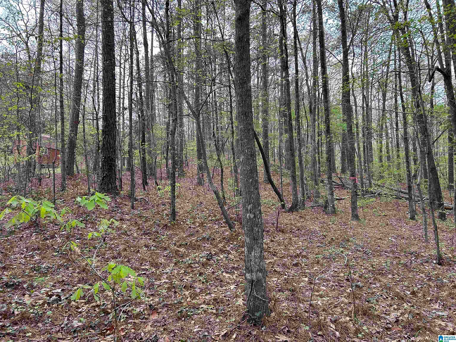 LOT 12 Circle Dr #12 photo 1