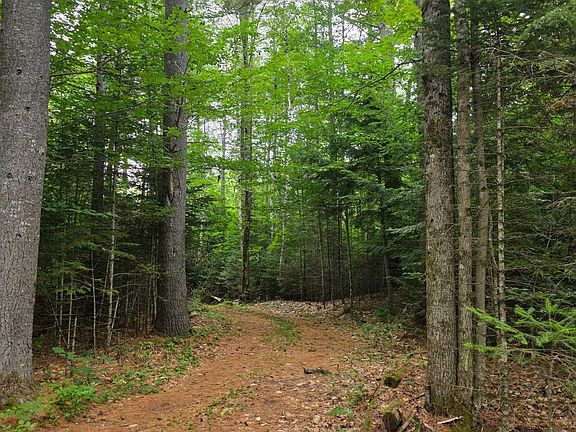 5th image of 00 Stimson Road