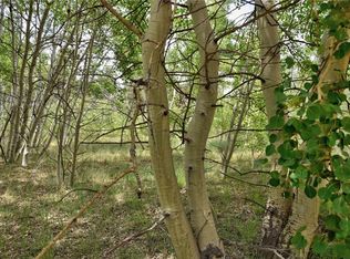 8066 Remington Rd, Como, CO 80432