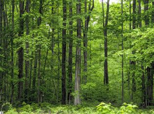 0 Starvation Lake Rd NE #125, Mancelona, MI 49659