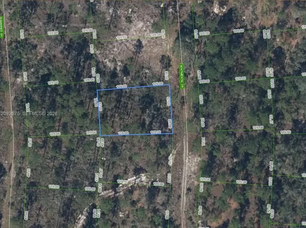 264 Sentimental Dr, Lake Placid, FL 33852