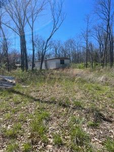 294 E Dade 68, Greenfield, MO, 65661