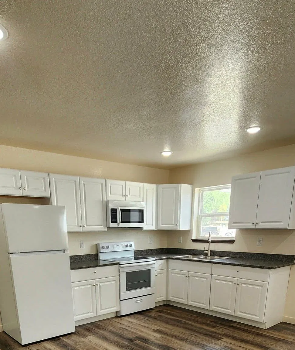 3 bed, 900 sqft, $1,250 — Photo 3