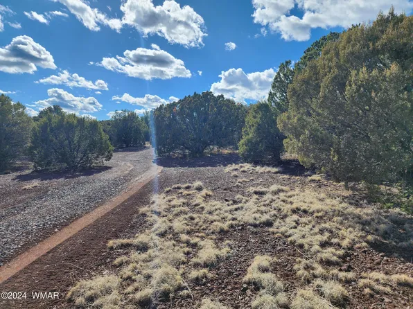 81 N 3328th, Vernon, AZ 85940