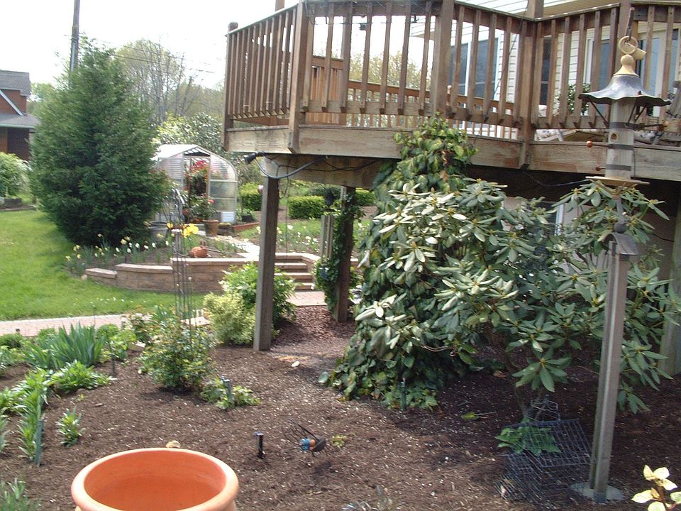 Rear Deck