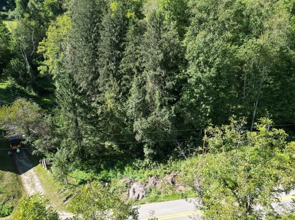 0 Russett Rd, Grantsville, WV 26147