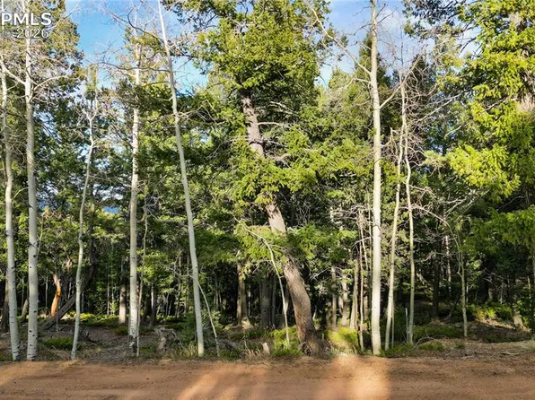 68 Yale Pl, Woodland Park, CO 80863