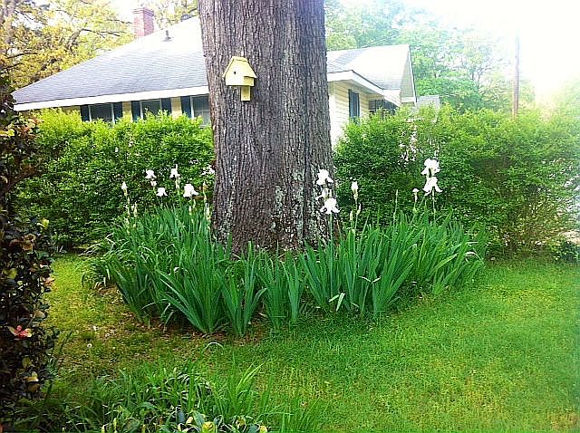 2nd image of 111 4th St