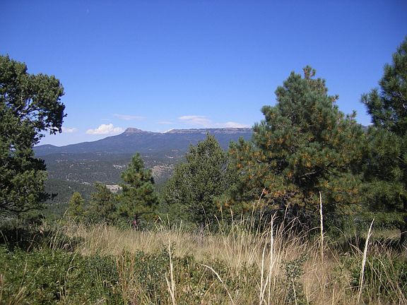 2nd image of 15428 Savon Arroyo Lots #58-68-55
