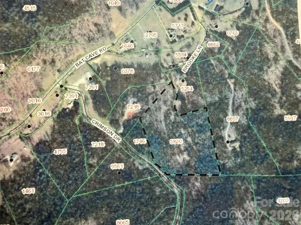 V L Bat Cave Rd, Old Fort, NC 28762