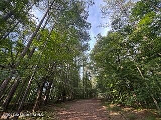 5th image of LOT 75 W Lakeview Dr
