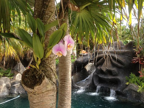 4th image of 1780 Kauhikoa Rd