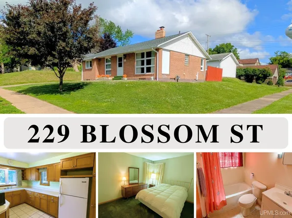 229 Blossom St, Iron River, MI