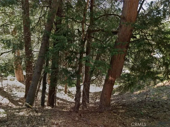 1 Crest Forest Dr Lot 90, Cedarpines Park, CA 92322