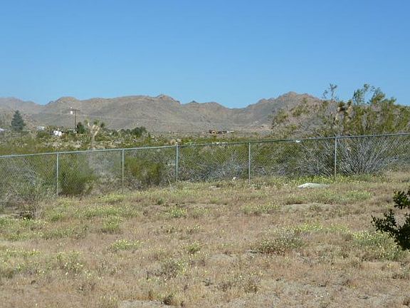 On road to JTNP, about 3 miles from entrance.