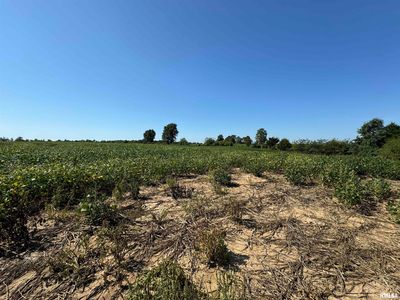 0 N County Rd #1375, Cisne, IL, 62823