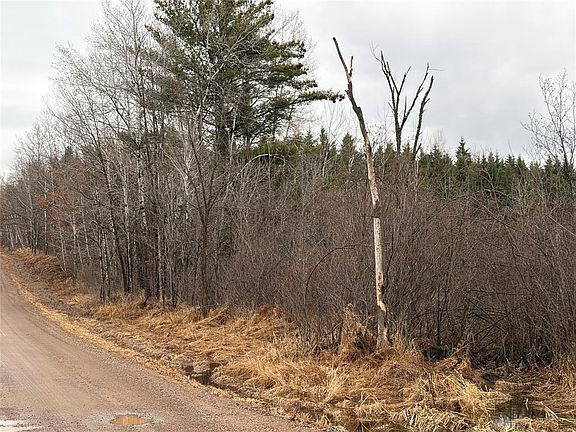 5th image of ON Sheep Camp Road