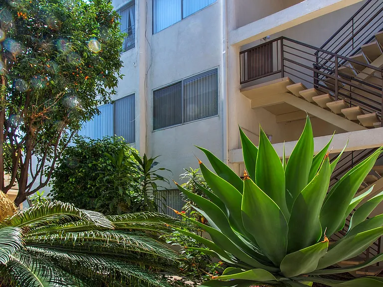 Beach Hill Apartments — Photo 13