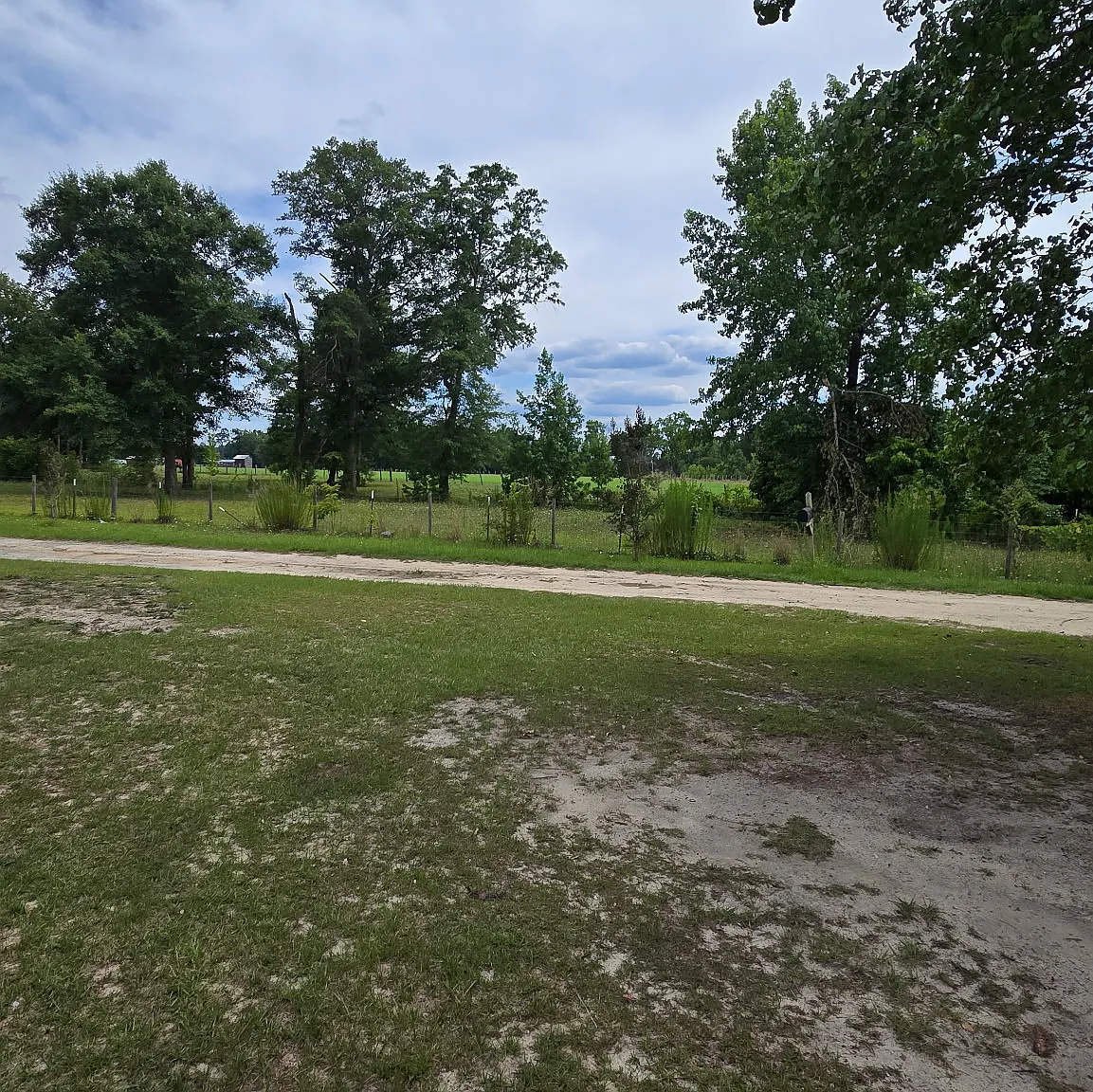 2 bed, 950 sqft, $1,200 — Photo 4