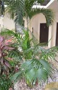 5099 Splendido Ct APT E, Boynton Beach, FL, 33437