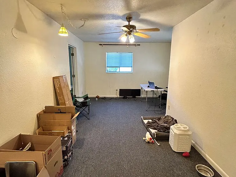 2313 County Road 203 — Photo 5
