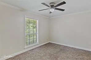9209 Blue Spruce Dr — Photo 14